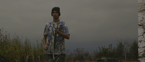 Wild Plants